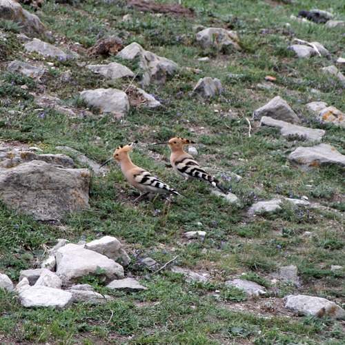 Photo #13210000