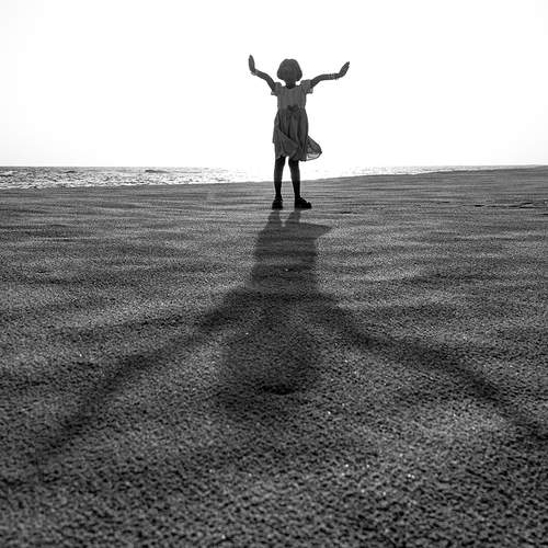 Photo #13210029