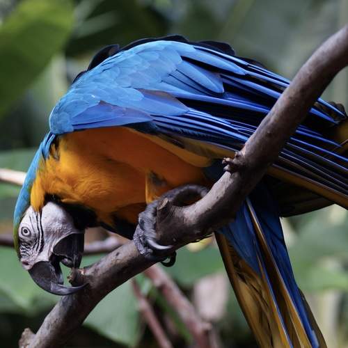 Photo #13210311
