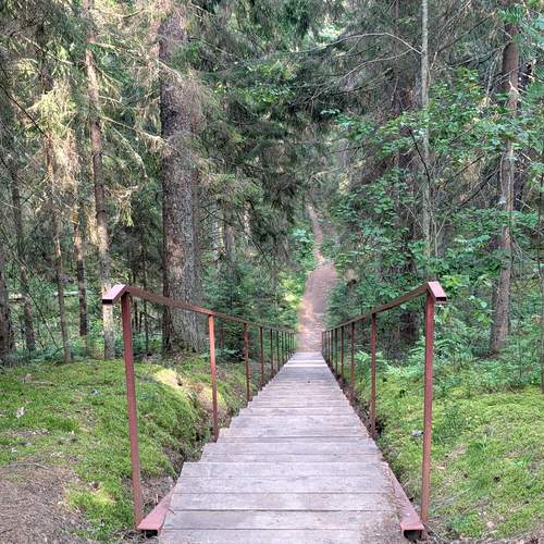Photo #13210315