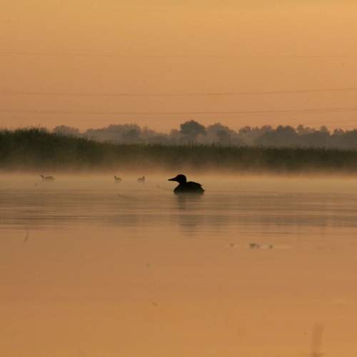 Photo #13210404