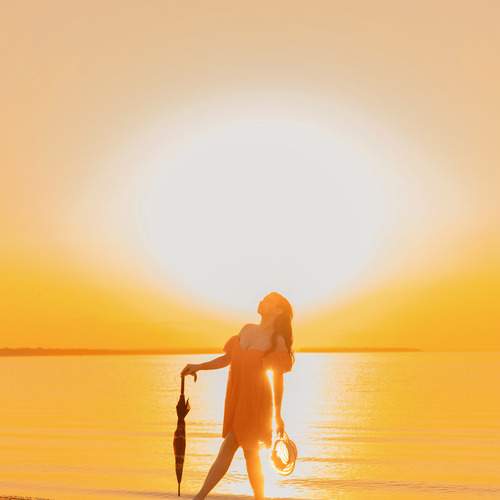 Photo #13210506