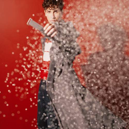Photo #13210642