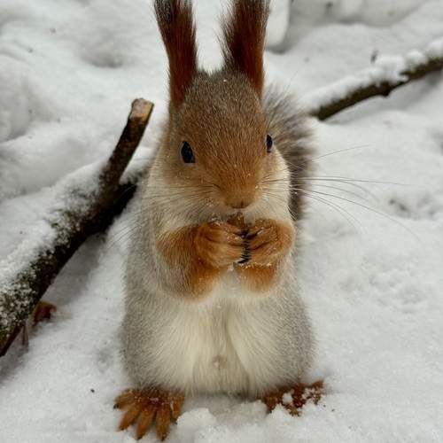 Photo #13210649