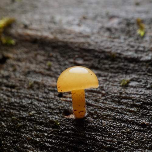 Photo #13210679