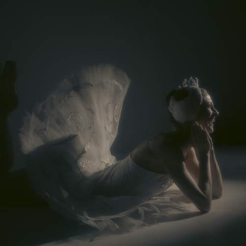 Photo #13210842