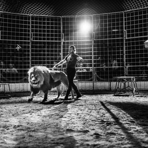 Photo #13210878