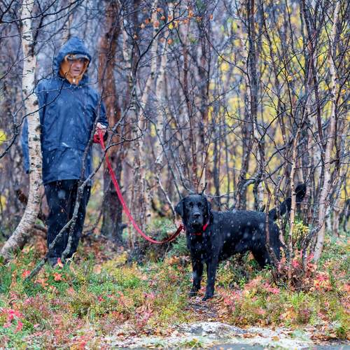 Photo #13210989