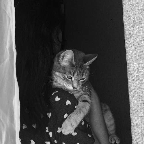 Photo #13211012
