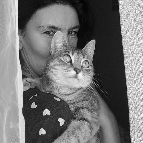 Photo #13211013