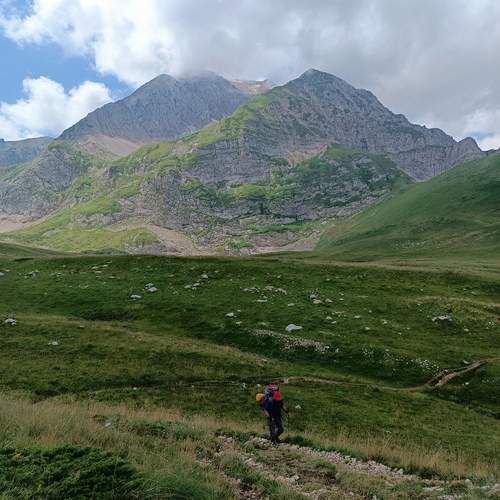 Photo #13211086
