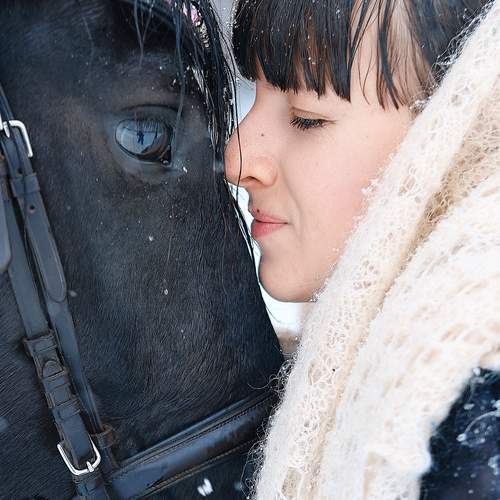 Photo #13211263