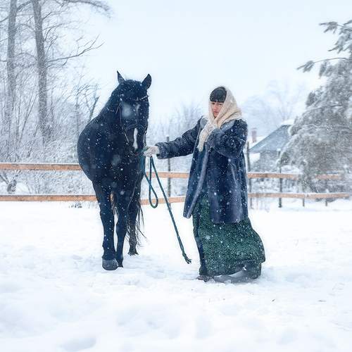 Photo #13211266