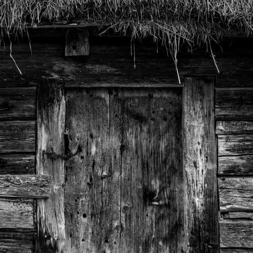 Photo #13211334