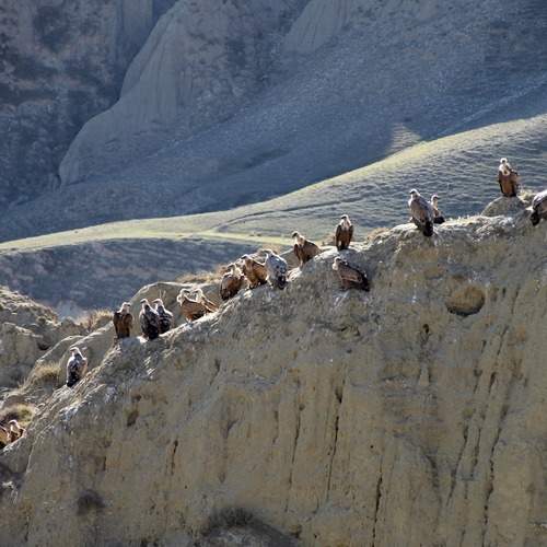 Photo #13211555