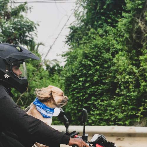 Photo #13211567
