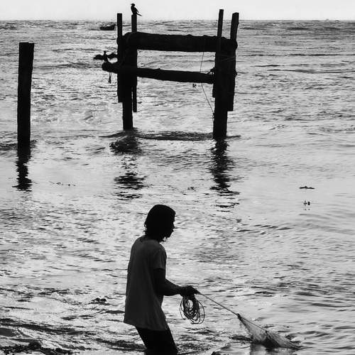 Photo #13211586