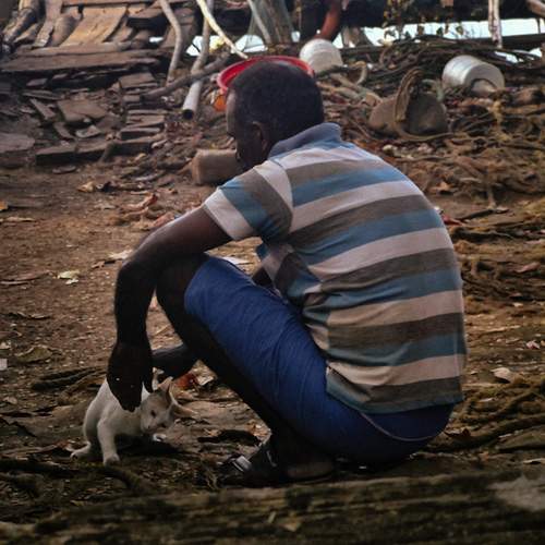Photo #13211596