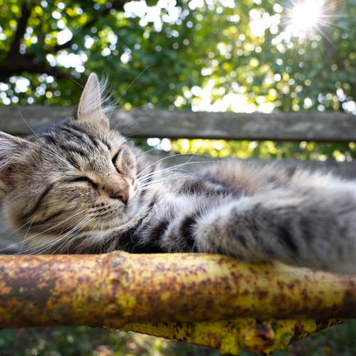 Photo #13211699