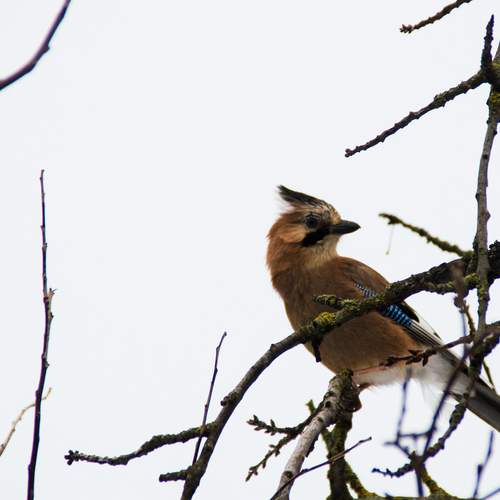 Photo #13211806