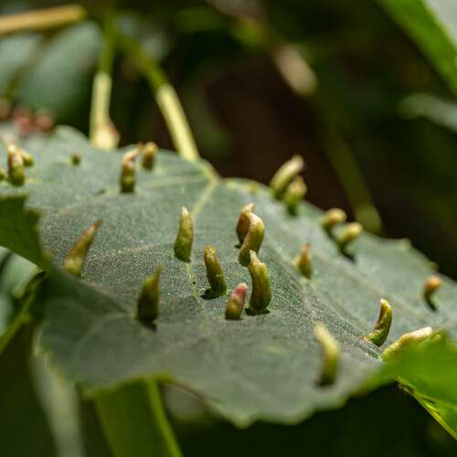 Photo #13211922