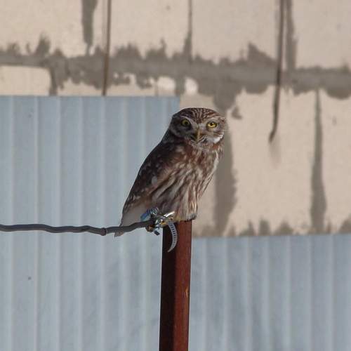 Photo #13211929