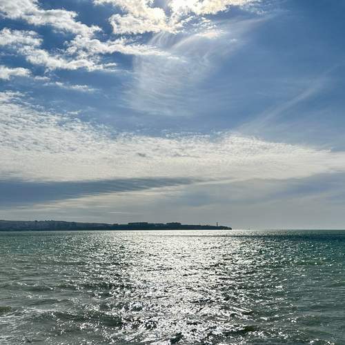 Photo #13211931
