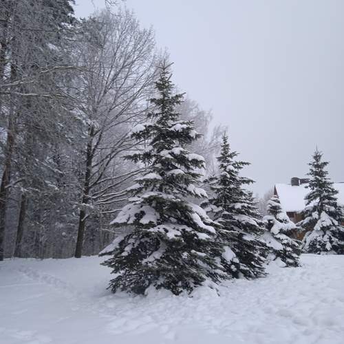 Photo #13212155