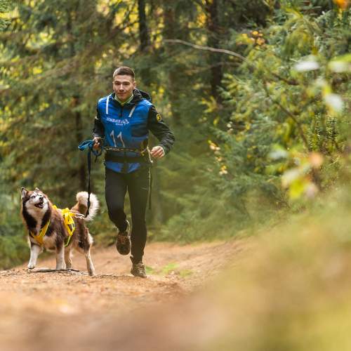 Photo #13212342