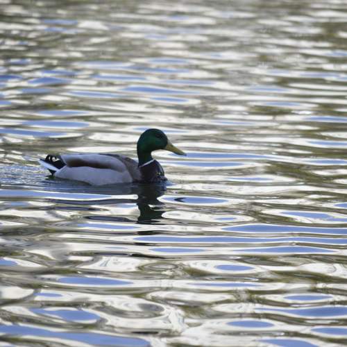 Photo #13212353