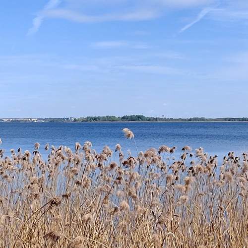 Photo #13212404