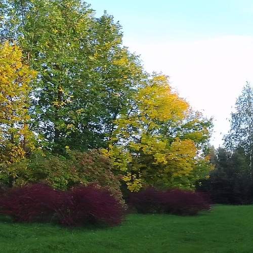 Photo #13212411
