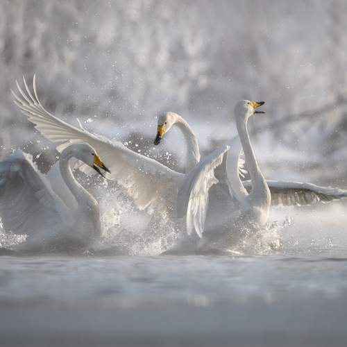 Время весны