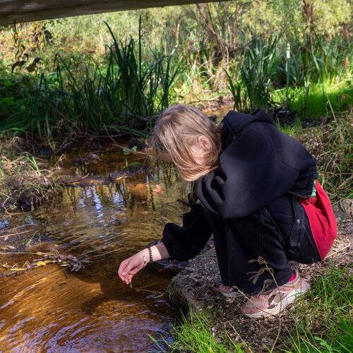 Photo #13212437