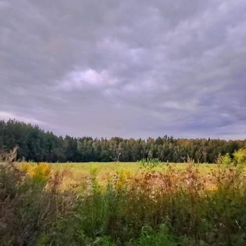 Photo #13212450
