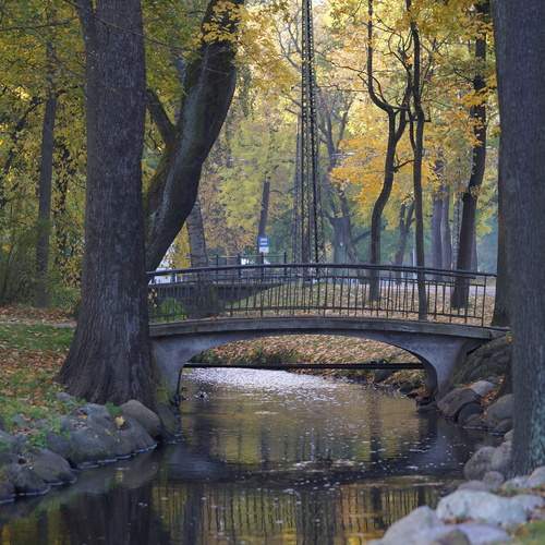 Photo #13212561
