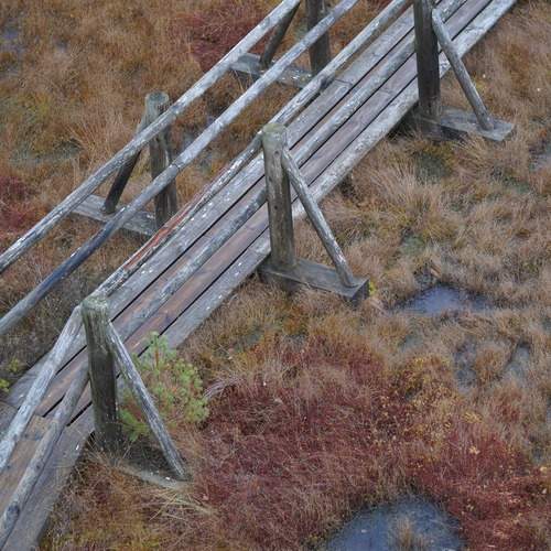 Photo #13212583