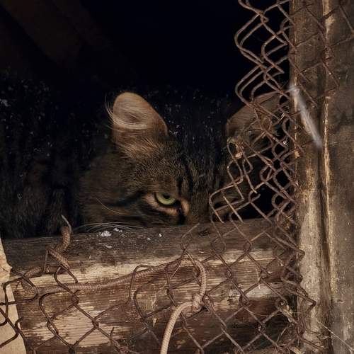 Теплый уголок