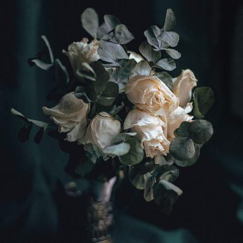Photo #13212758
