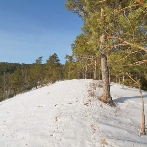 Photo #13212778