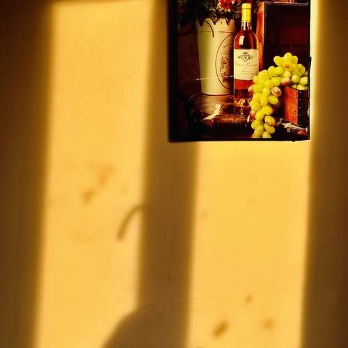 Photo #13212804