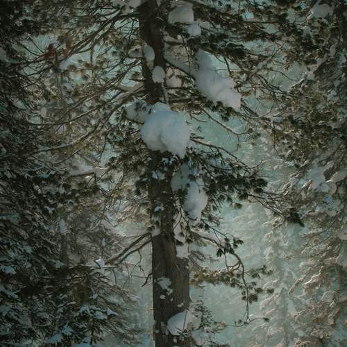 Photo #13212834