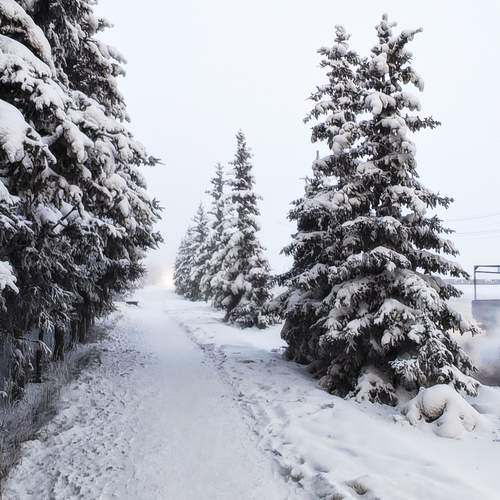 Photo #13212857