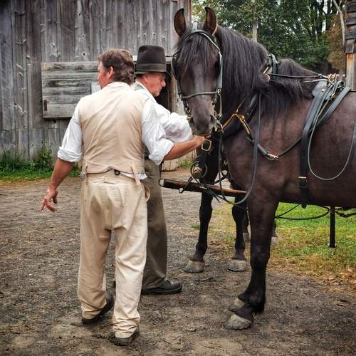Photo #13212861