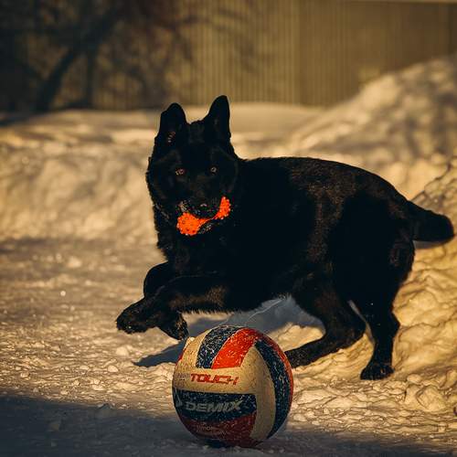 Photo #13212998