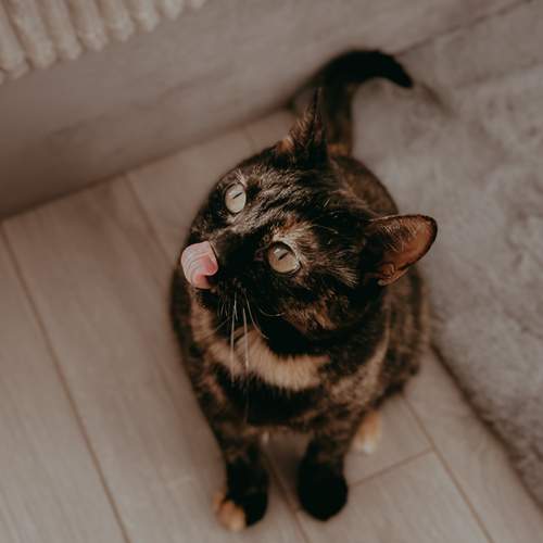 Photo #13213026