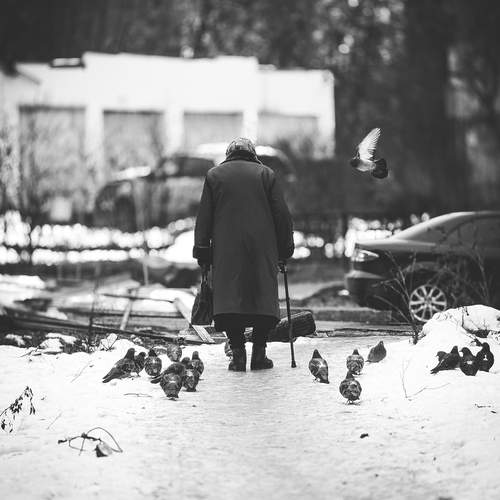 Photo #13213036