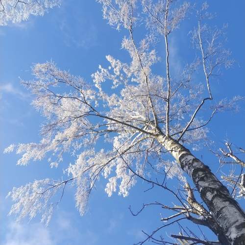Photo #13213042