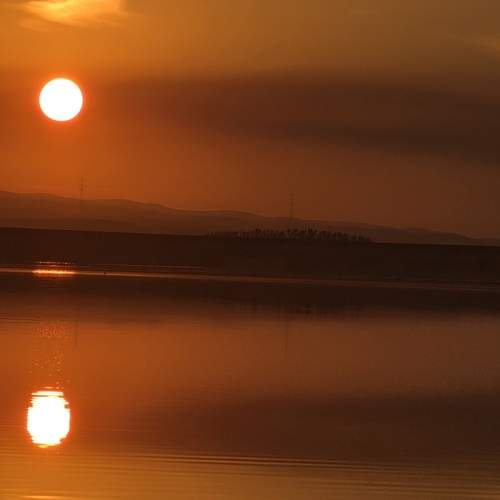 Photo #13213067