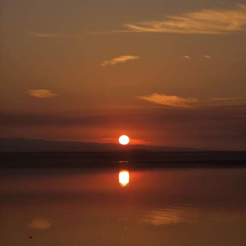 Photo #13213069